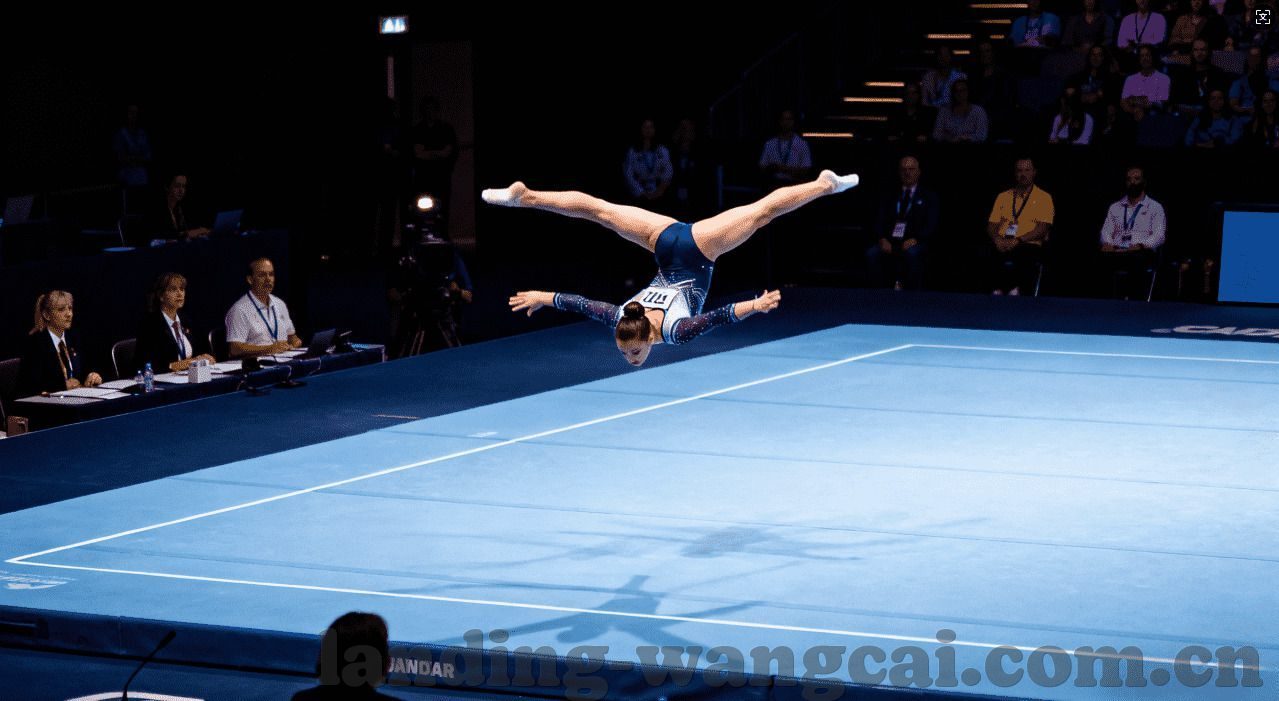 九哥玩炸金花-九哥玩炸金花，一场智慧与运气的较量