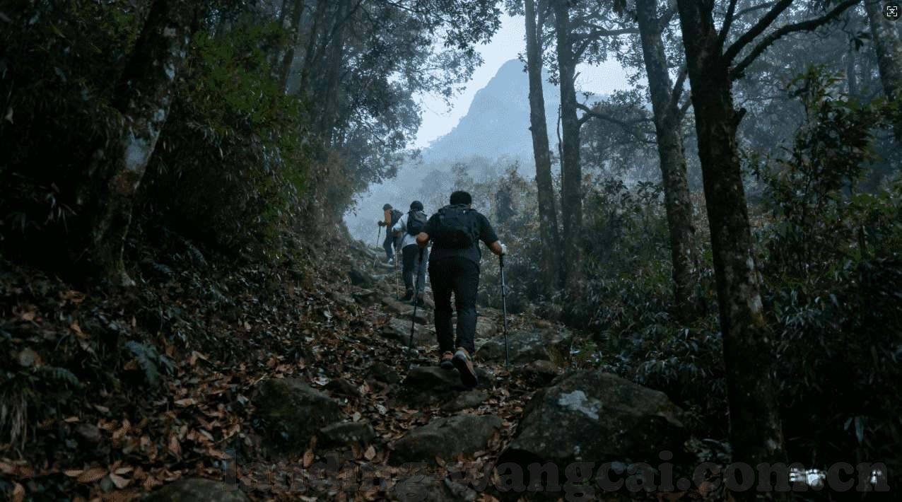 问鼎娱乐对刷-问鼎娱乐，探索多元化对刷的新奇观